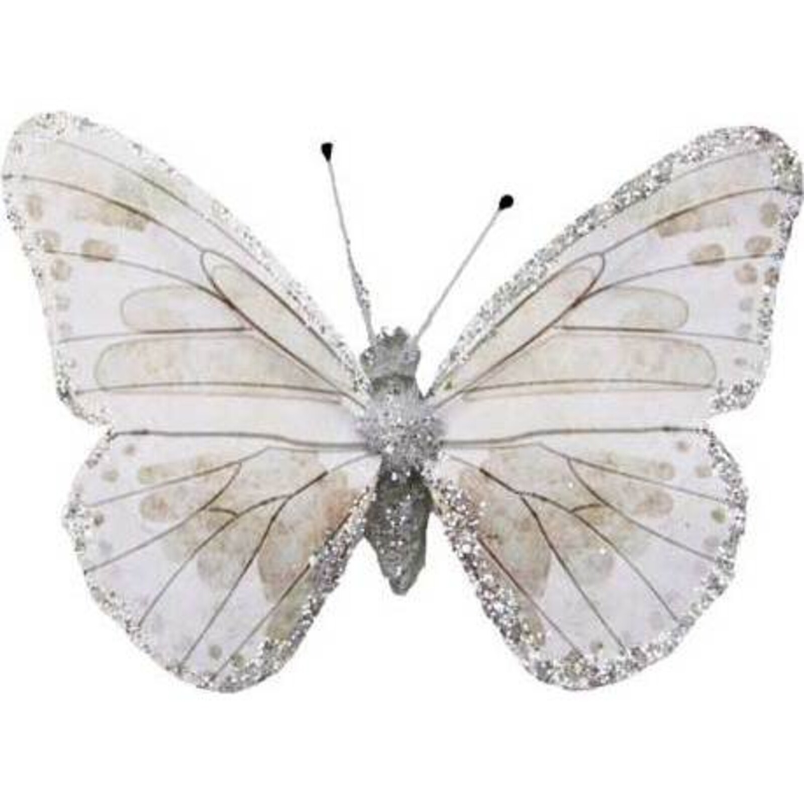 Glitter Butterfly - White Grey Inside set 6
