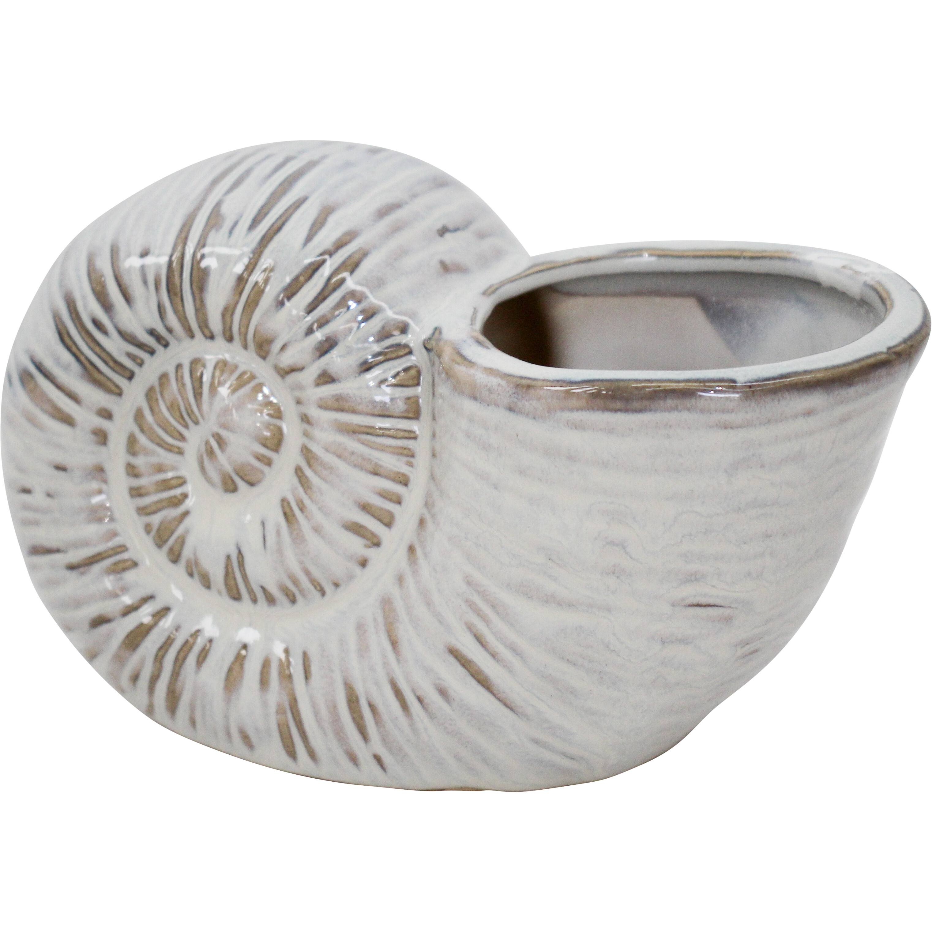 Shell Planter Ivory