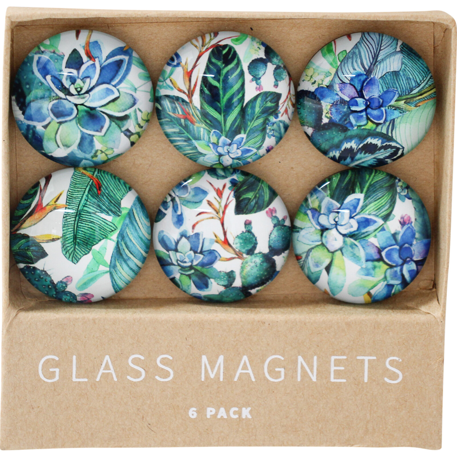 Glass Magnets Rainforest S/6