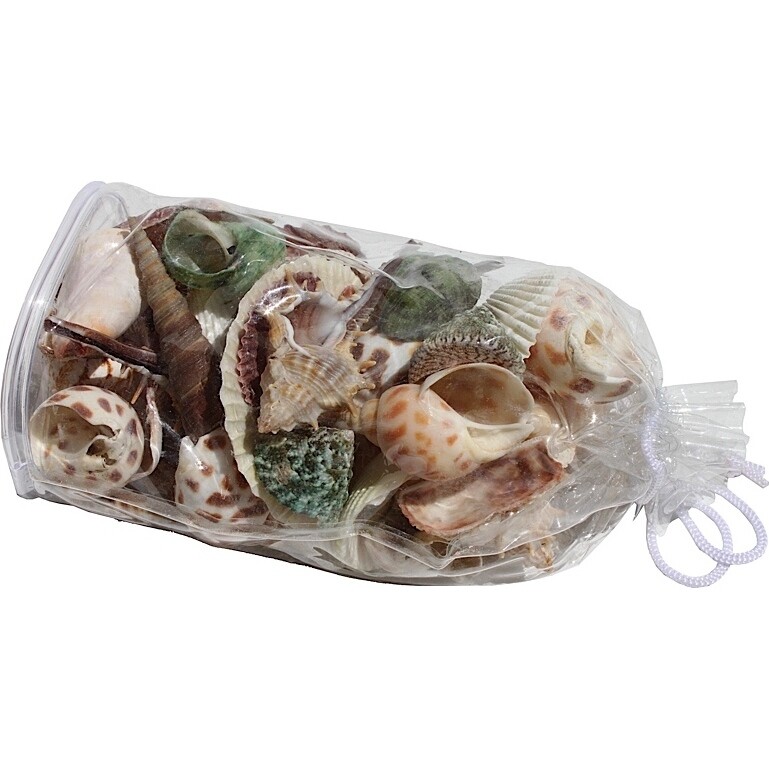 Shell Bag - Variety