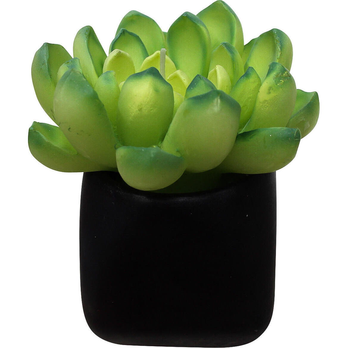 Candle Succulent Pot-A Med