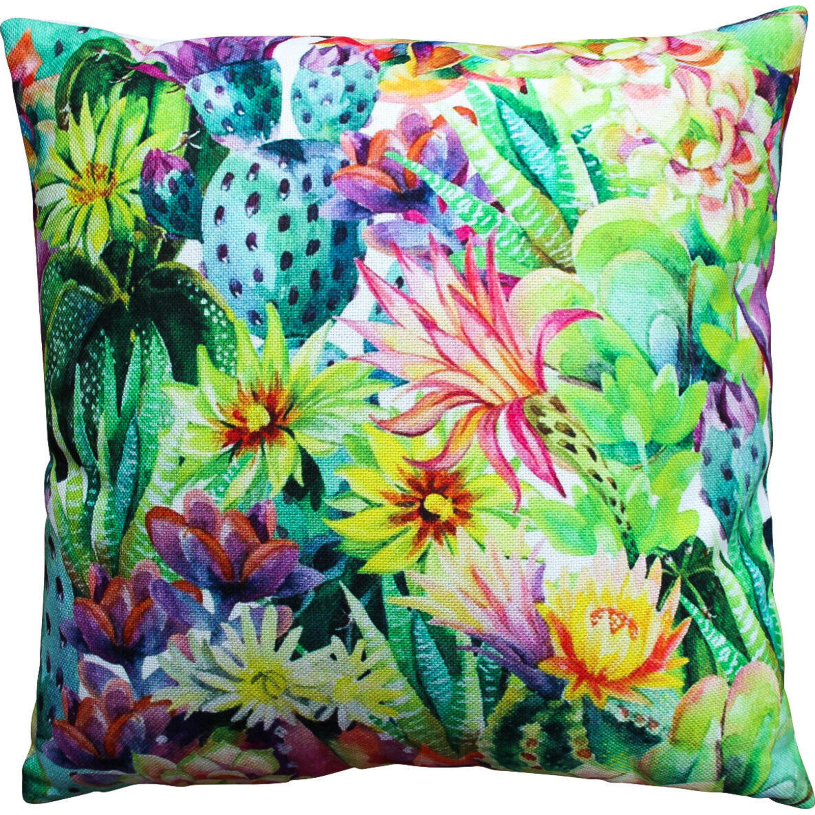 Cushions Cacti Garden