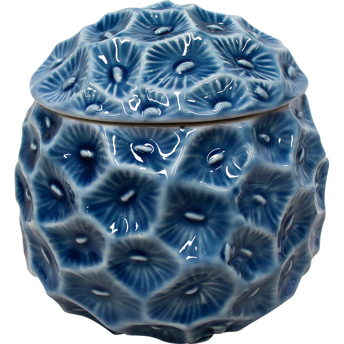 Cannister Sea Sponge Lrg Blue