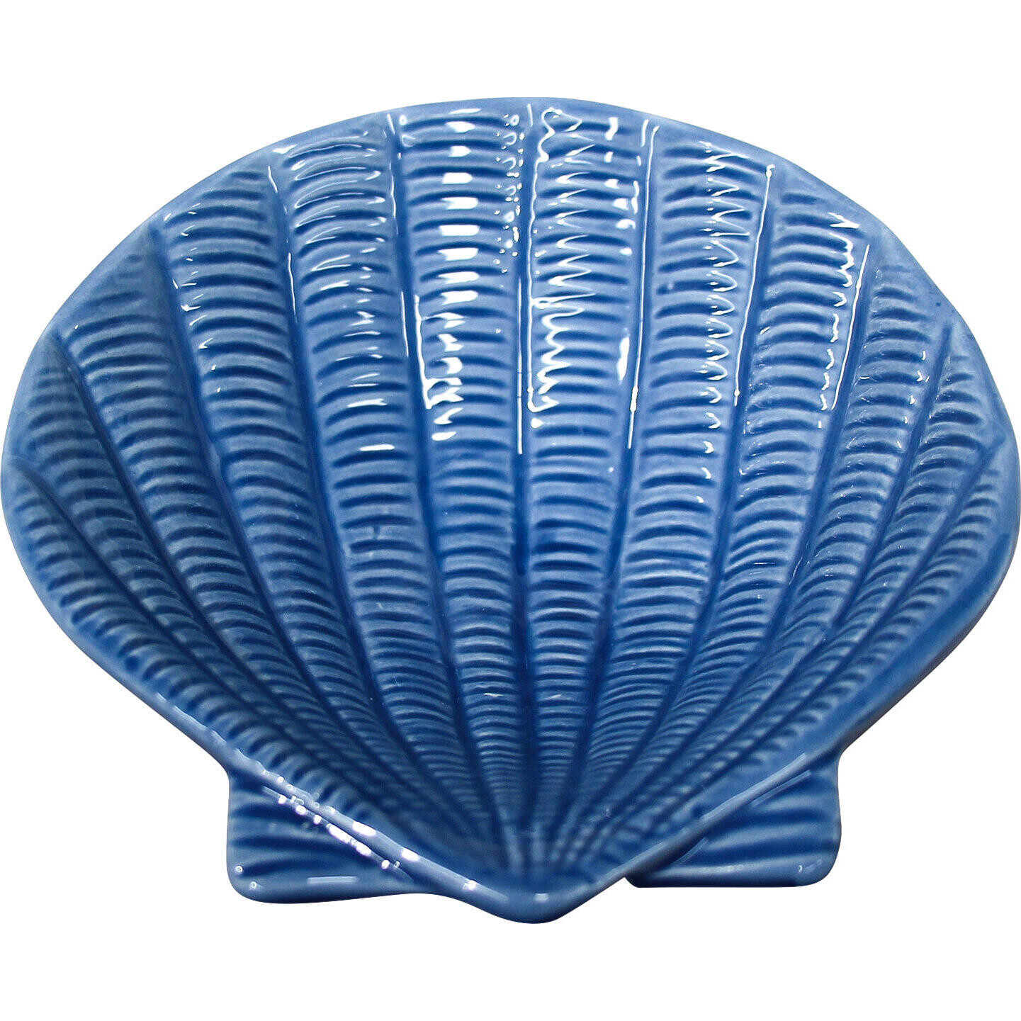 Clam Shell Decor Blue