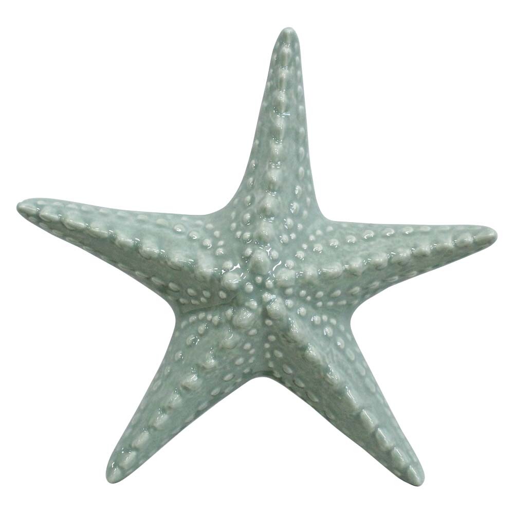 Starfish Coastal Starfish Coastal