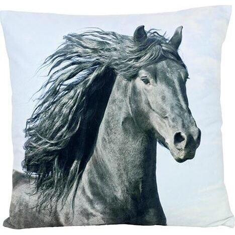 Cushion Black Stallion