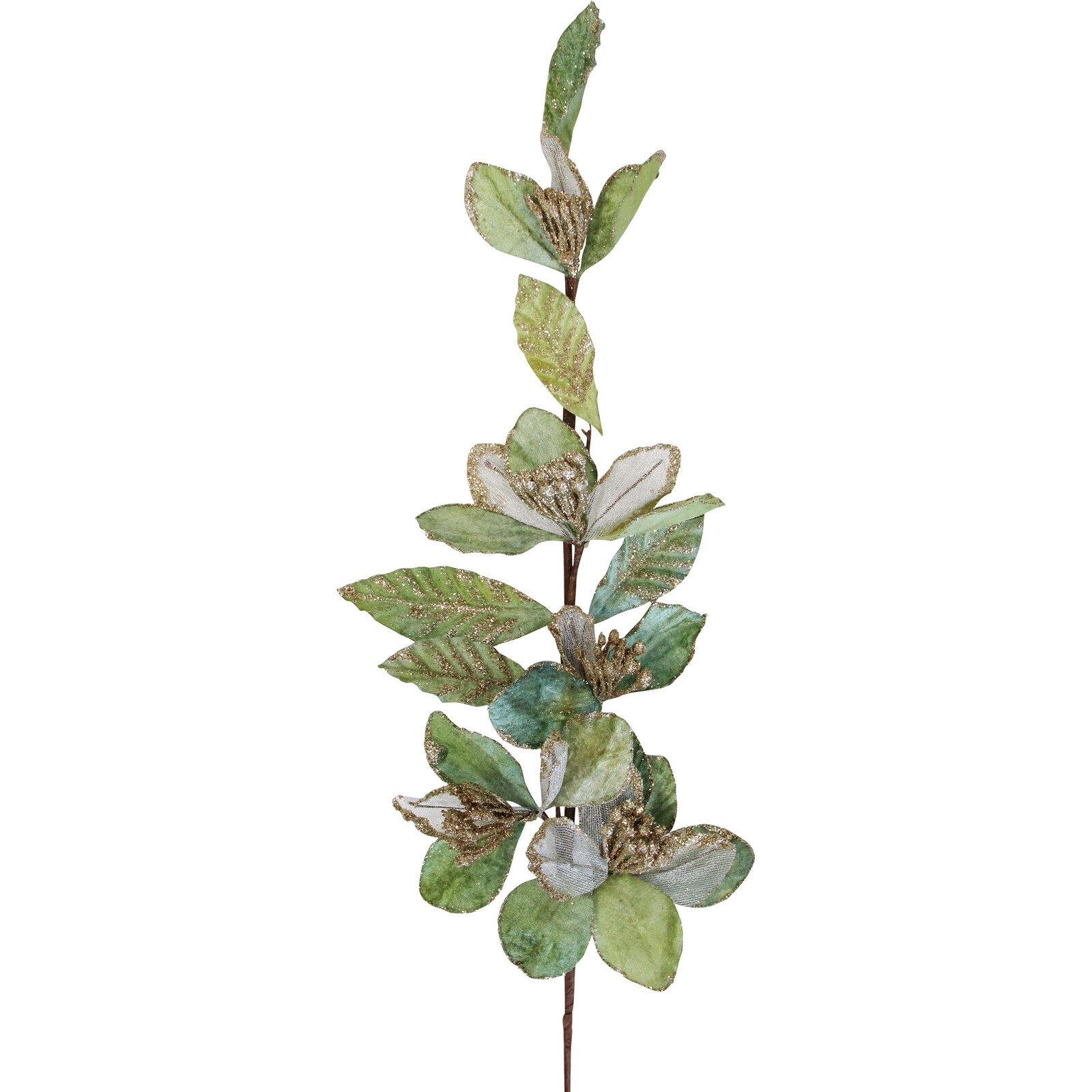 Velvet Leaf Stem Sage