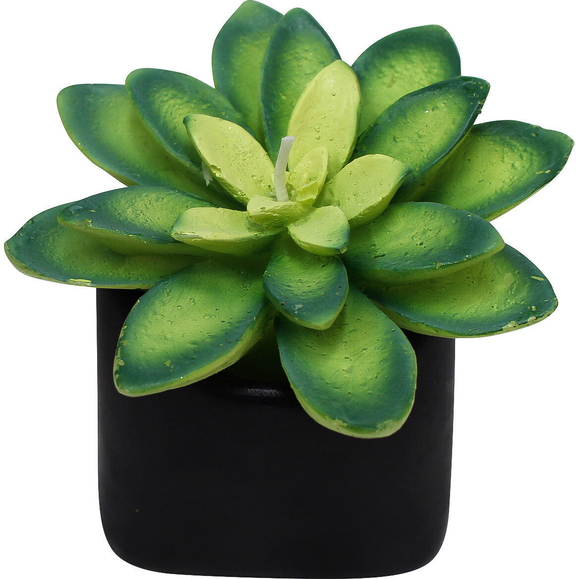 Candle Succulent Pot-B Med