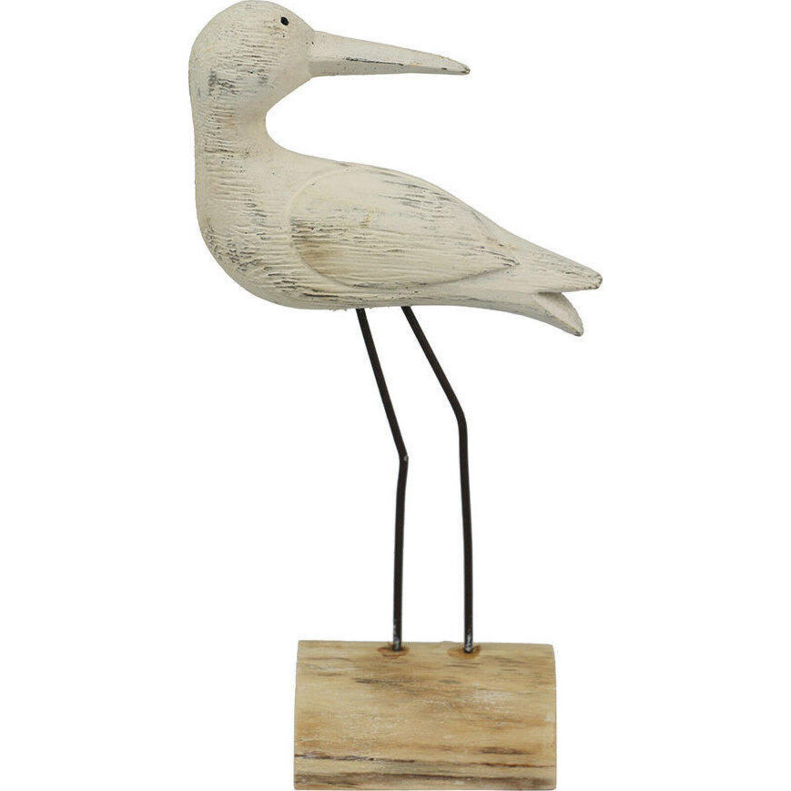 Standing Seabird Gull