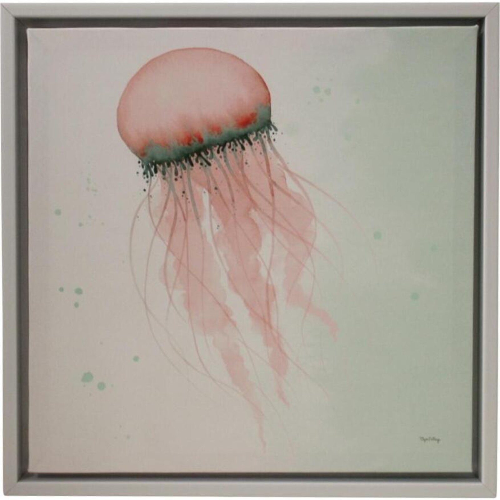 Canvas Jellyfish Coral/ Teal