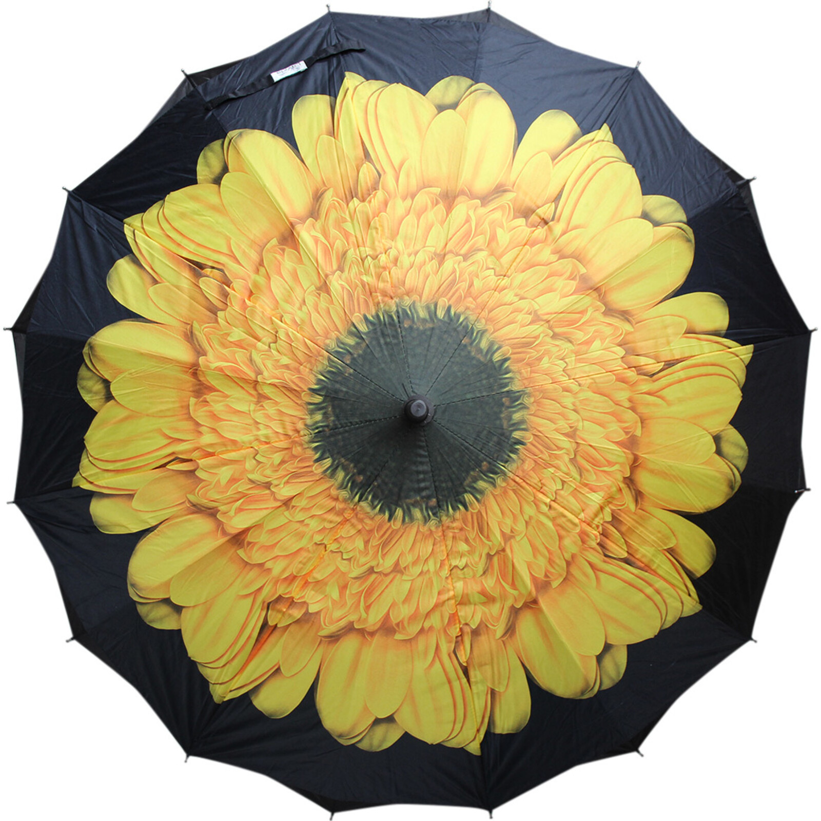 Umbrella Yellow Flower