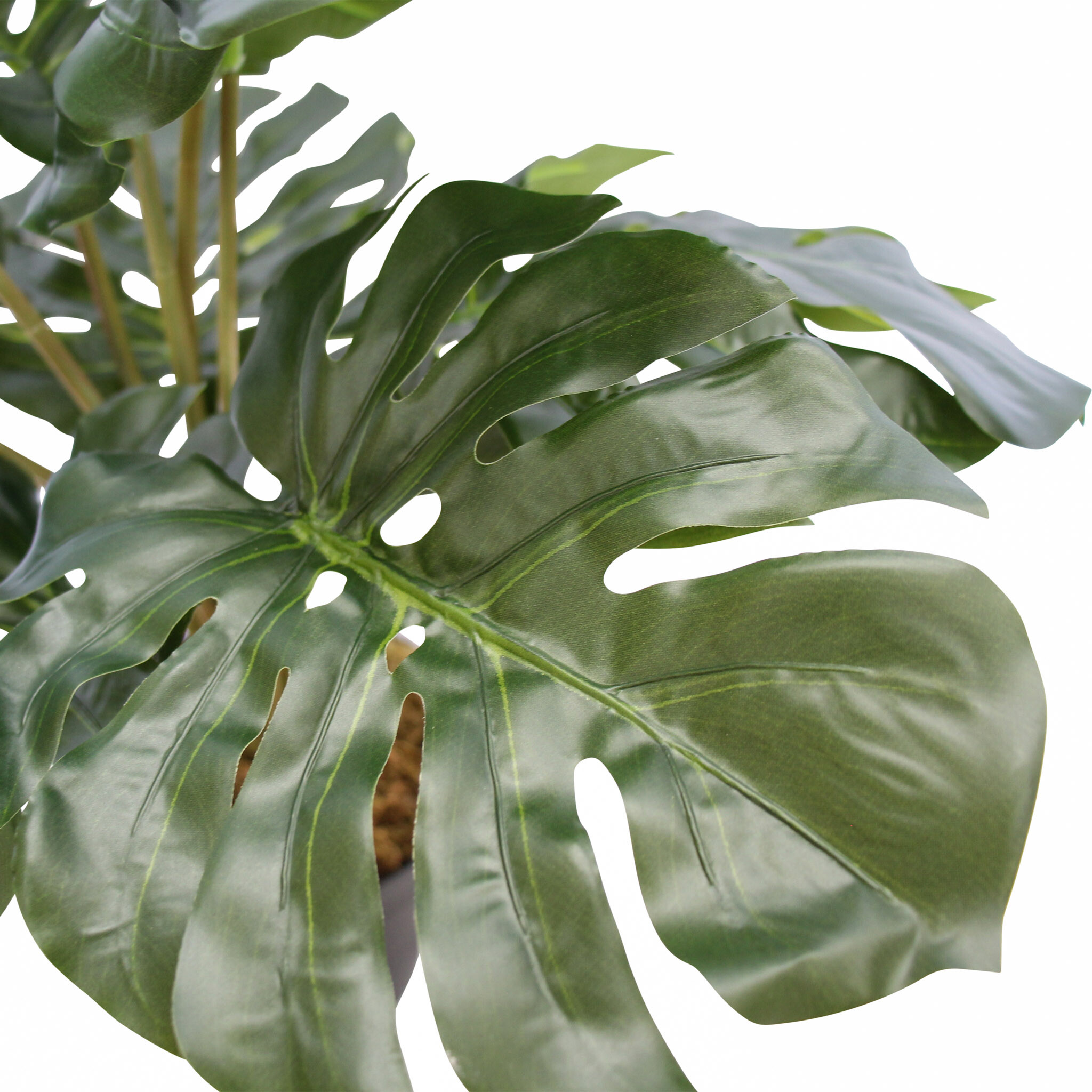 Replica Plant Monstera