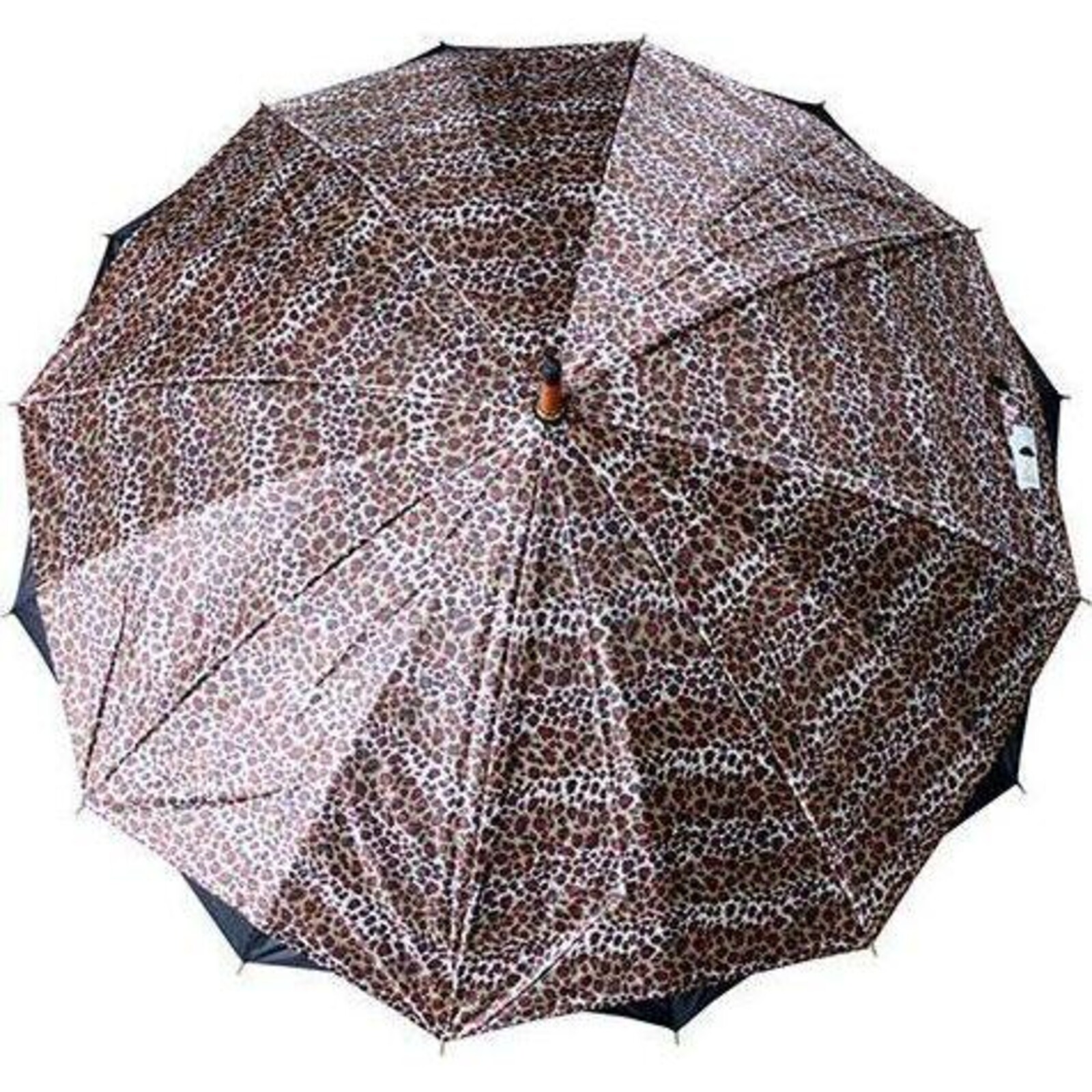 Umbrella Leopard Spot Band