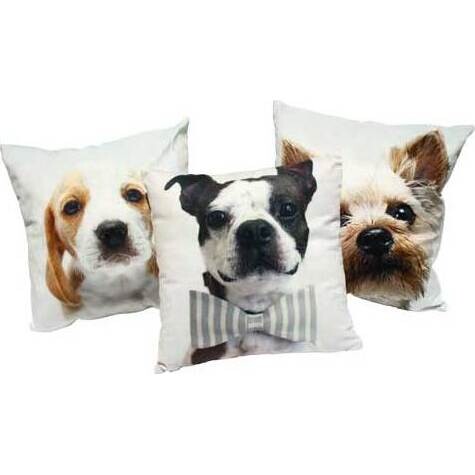 Cushion Puppy Blaze