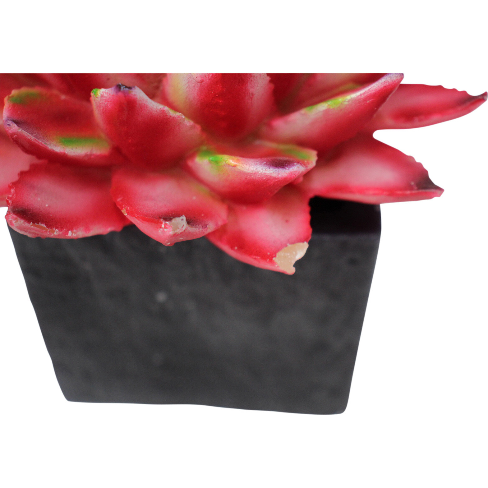 Candle Succulent Pot Burg 