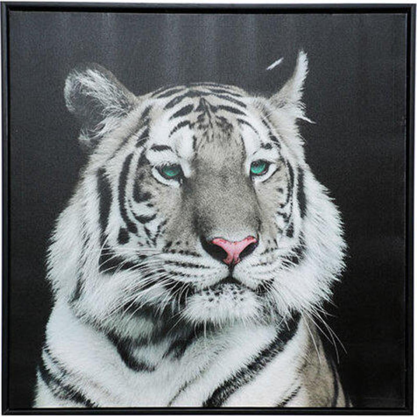 Framed Print White Tiger