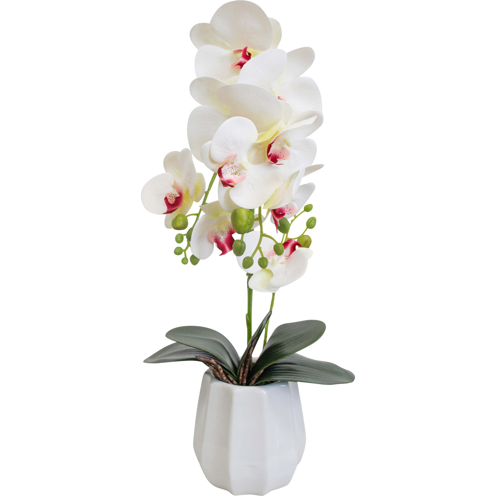 Faux Orchid Med White