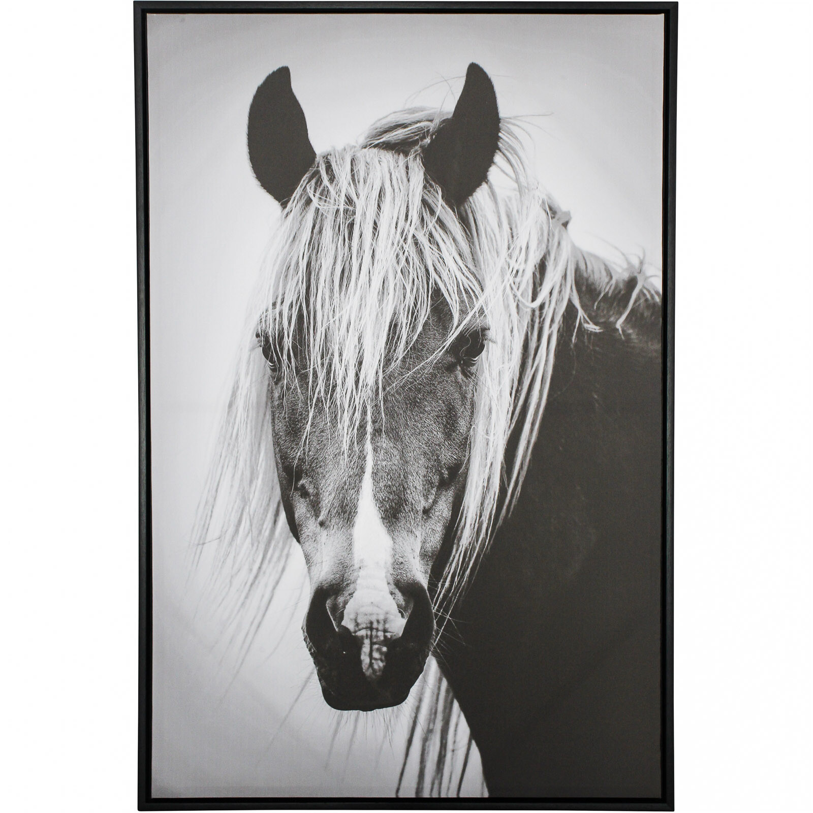 Framed Print Wild Horse