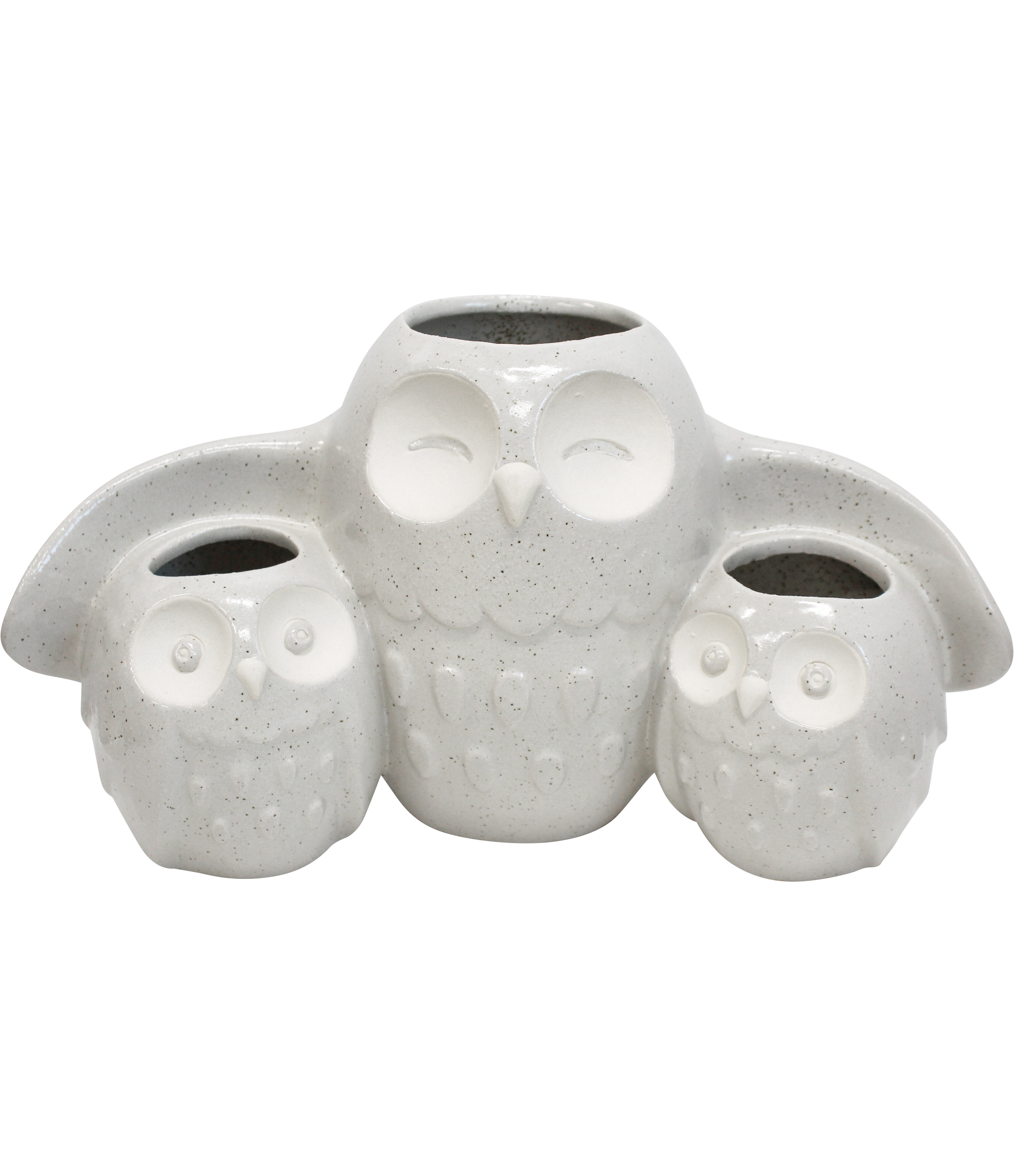 Planter Owl Family