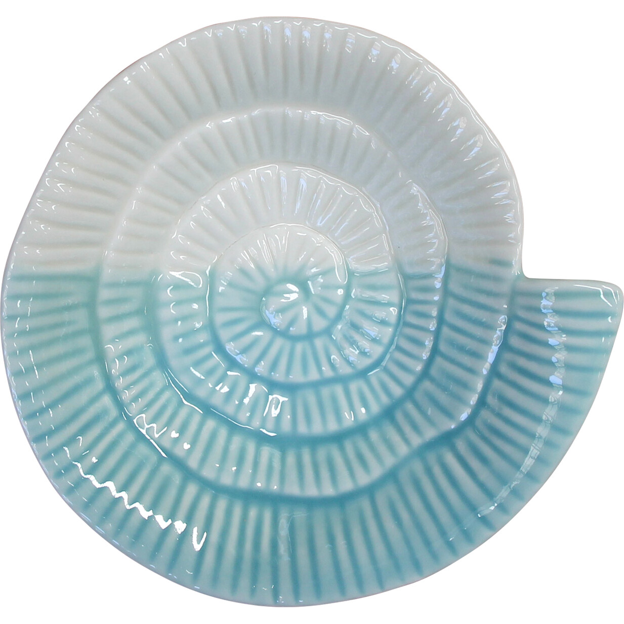 Plate Spiral Shell Seafoam