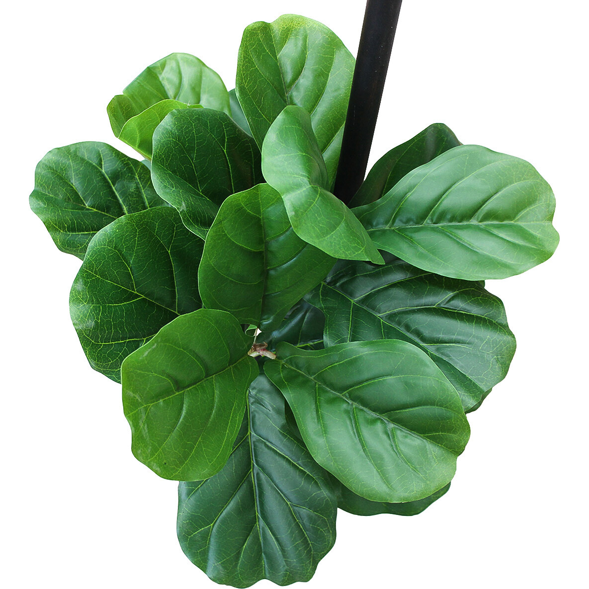 Faux Stem Fiddle Leaf Fig