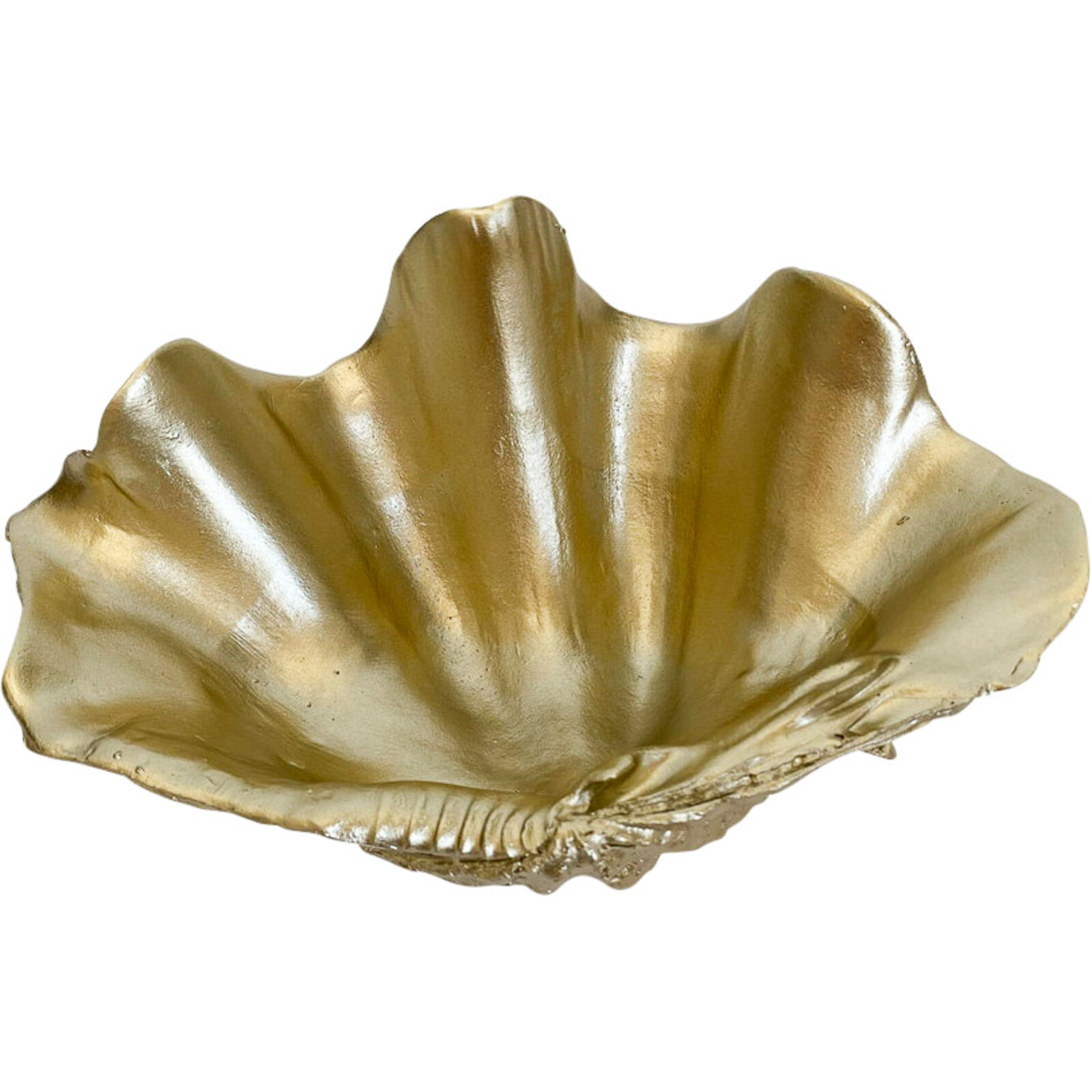 Clam Shell Small Champagne