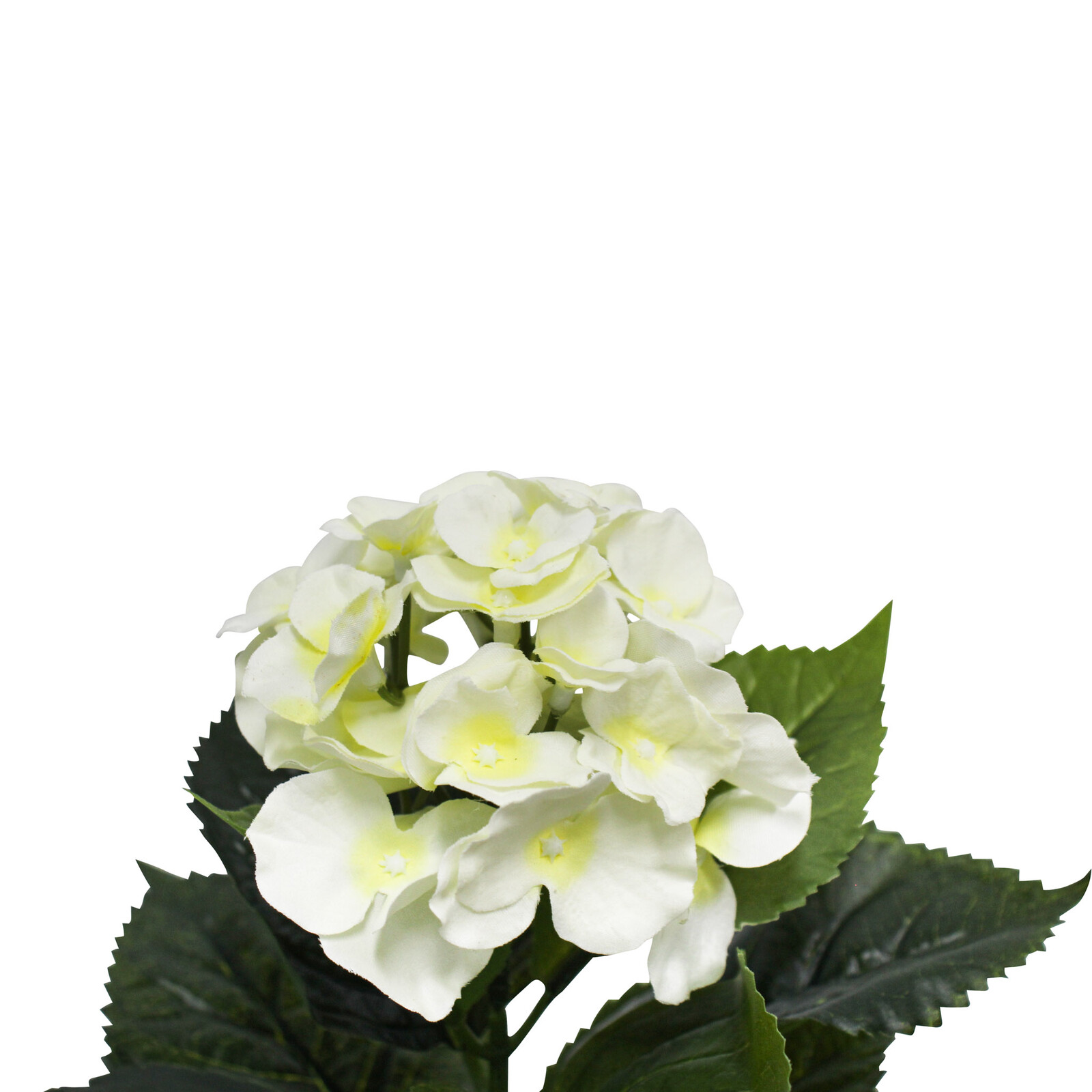 Faux Hydrangea White