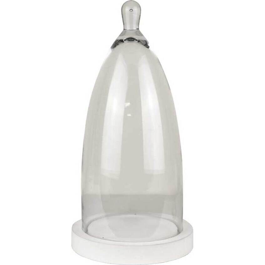 Glass Dome Ampoule