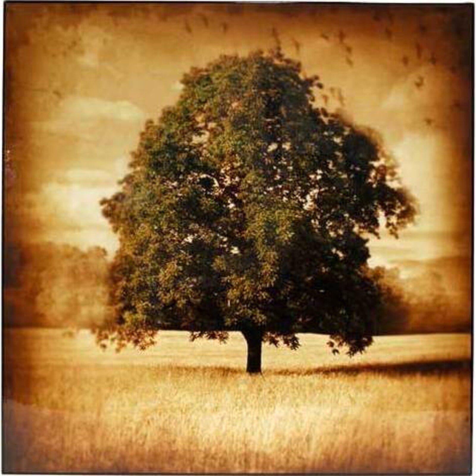 Lacquer Print - Lone Tree