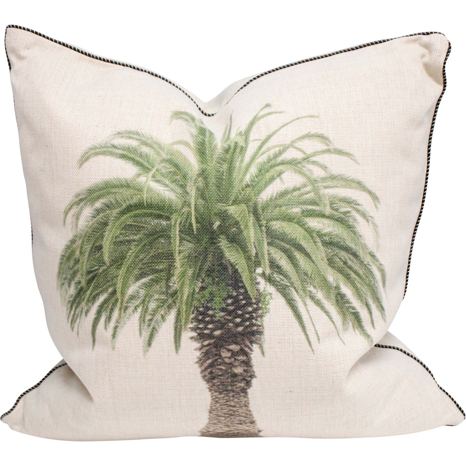 Cushion Palm Faded
