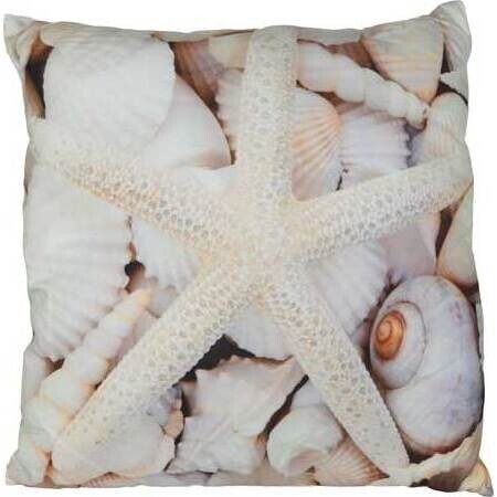 Cushion Starfish