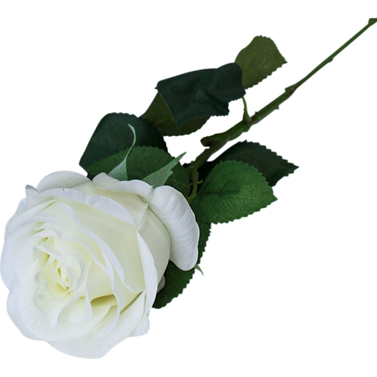 Long Stem Rose White