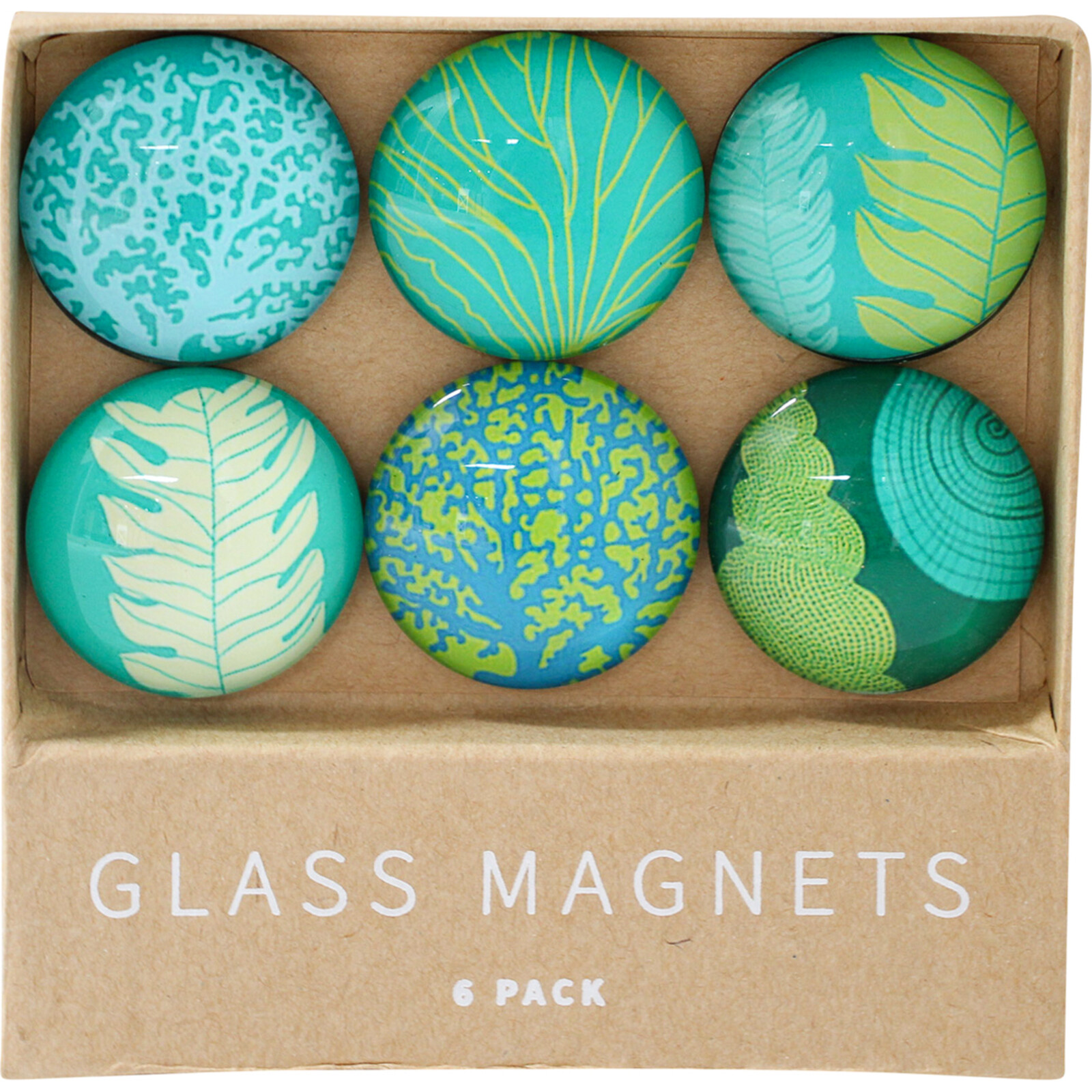 Glass Magnets Coral Reef S/6