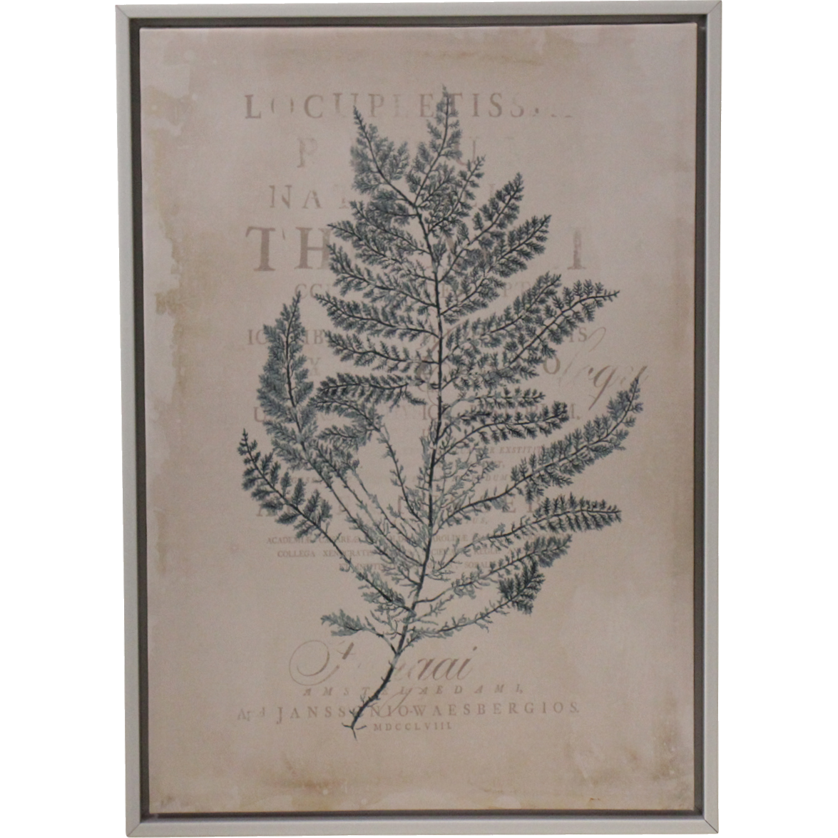 Framed Canvas Fern Ocean