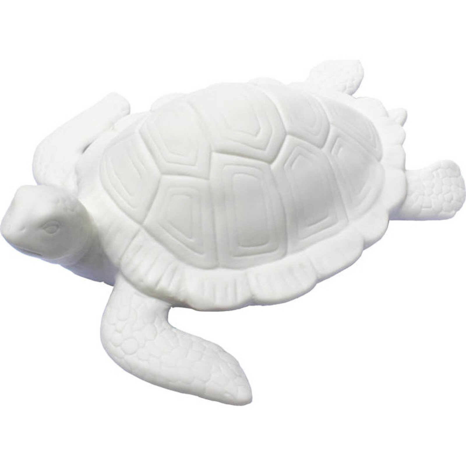 Porcelain Turtle