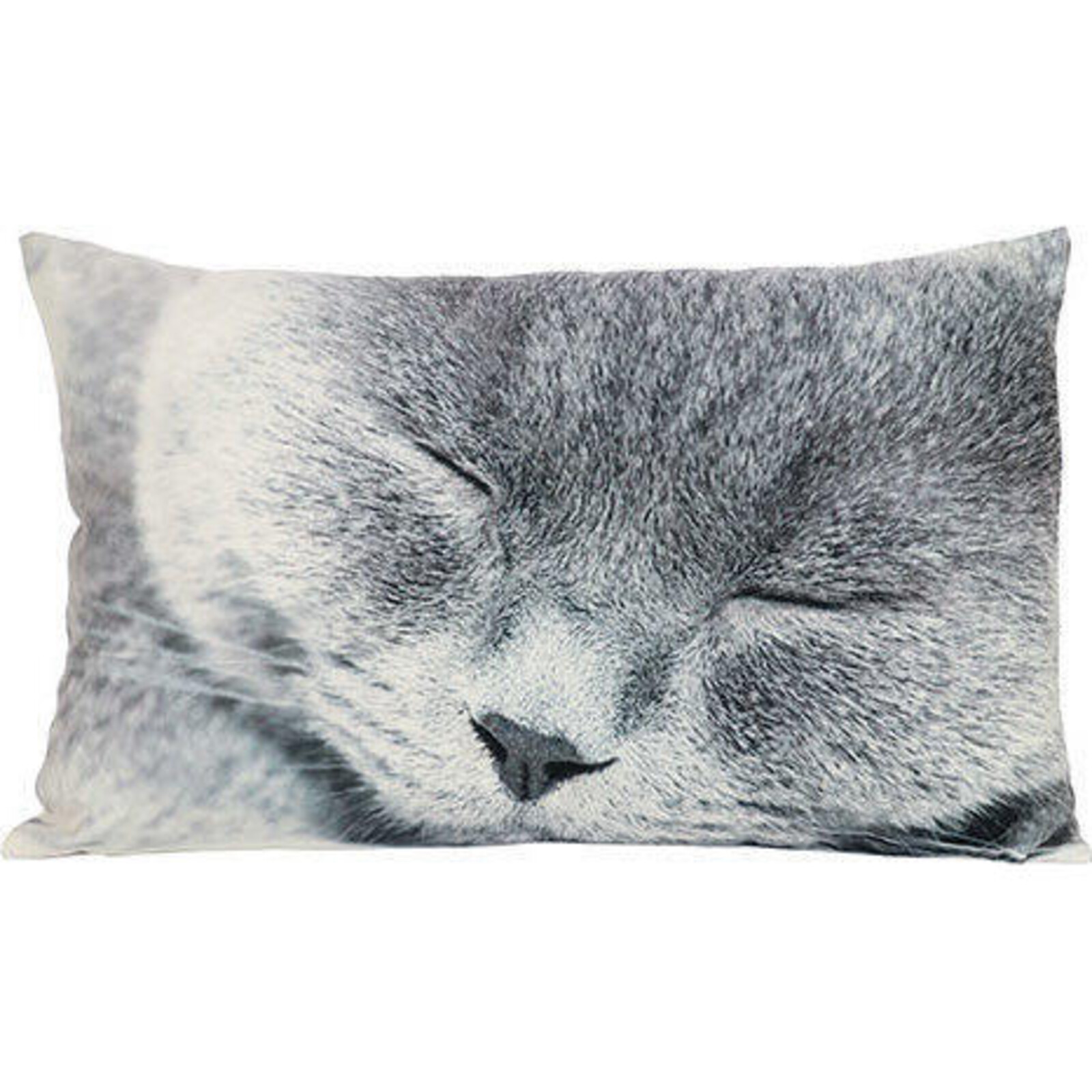 Cushion Cat Snooze