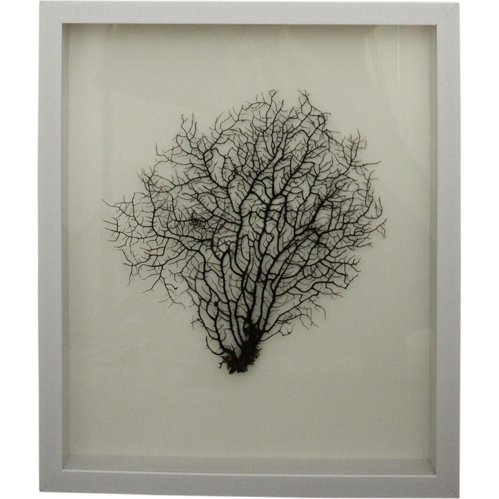 Framed Coral Wall Art Black