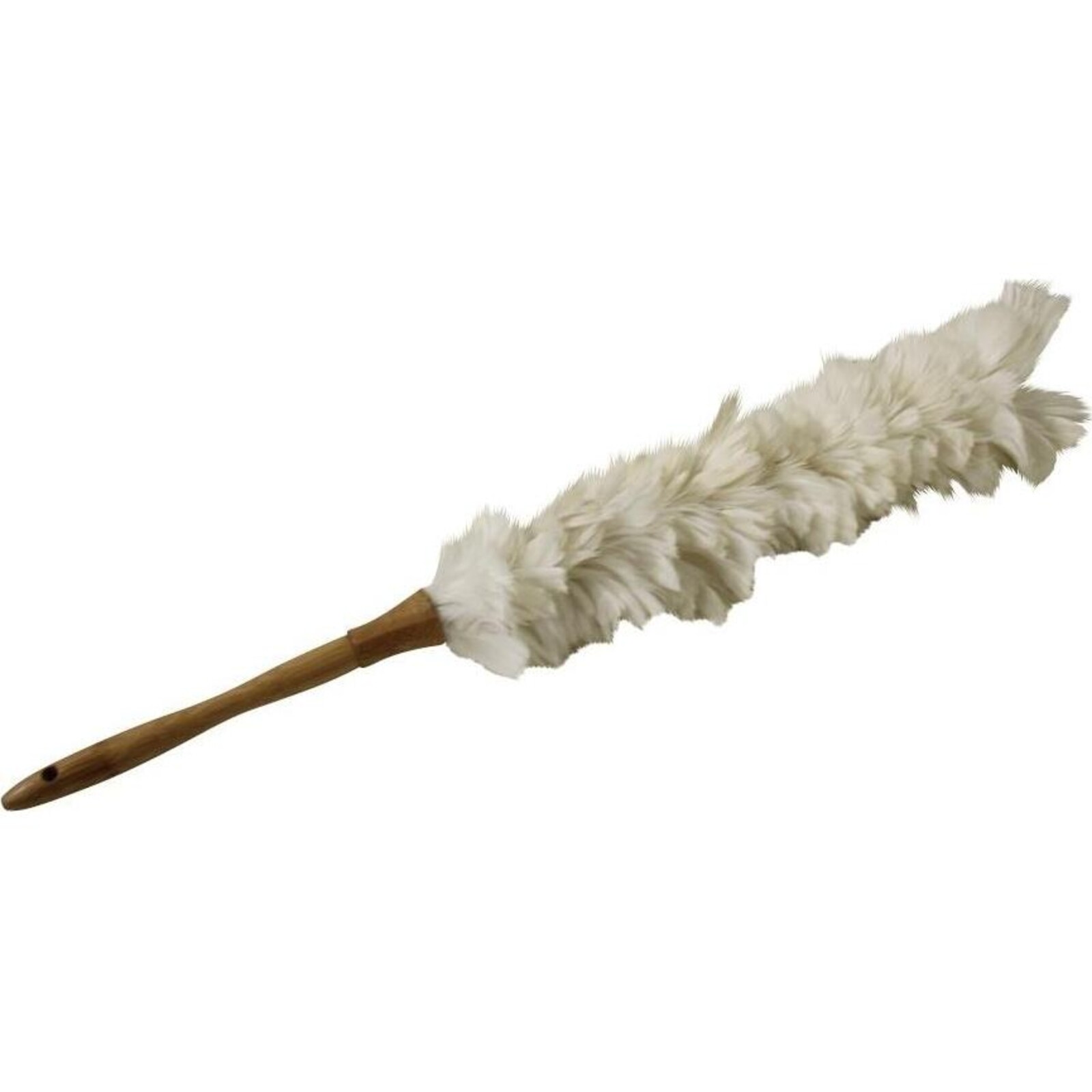 Feather Duster White