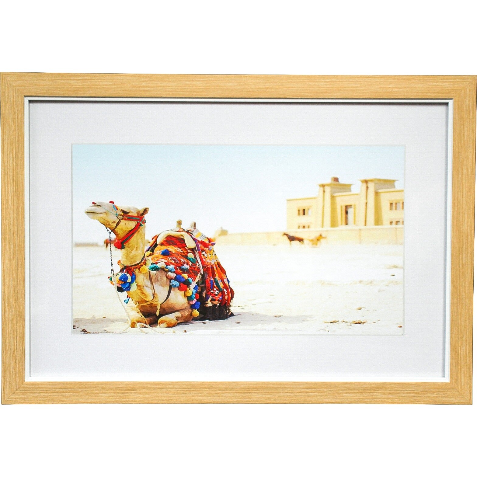 Framed Print Colourful Camel 1