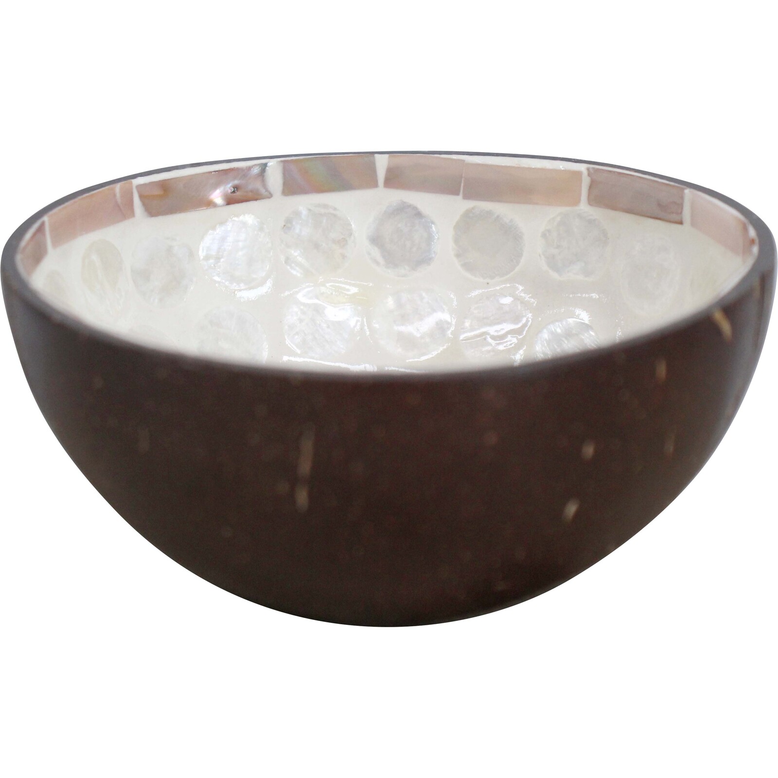 Coconut Bowl Bee Ivory