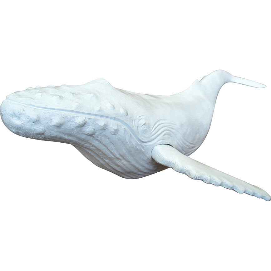 Majestic Whale White