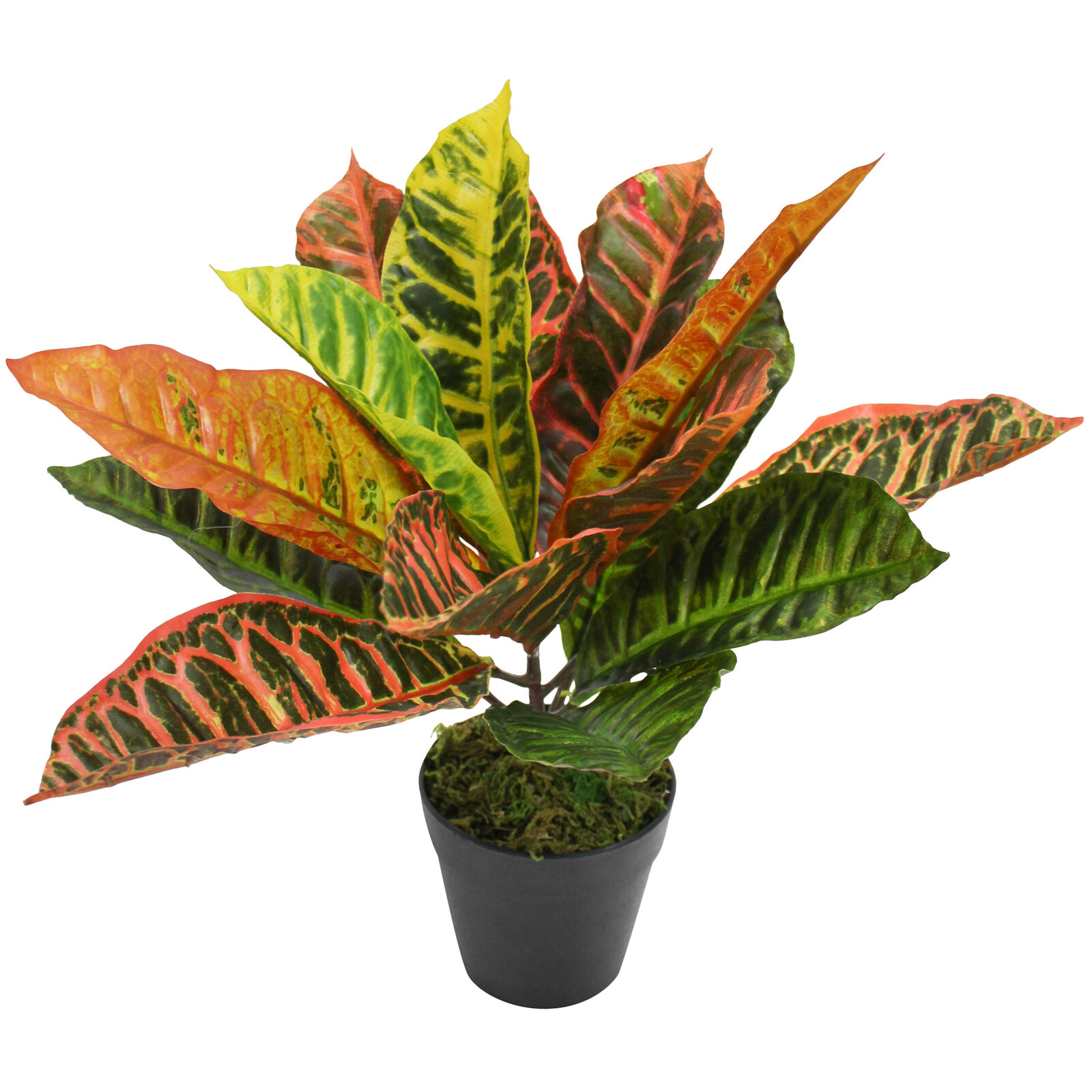 Faux Croton Red