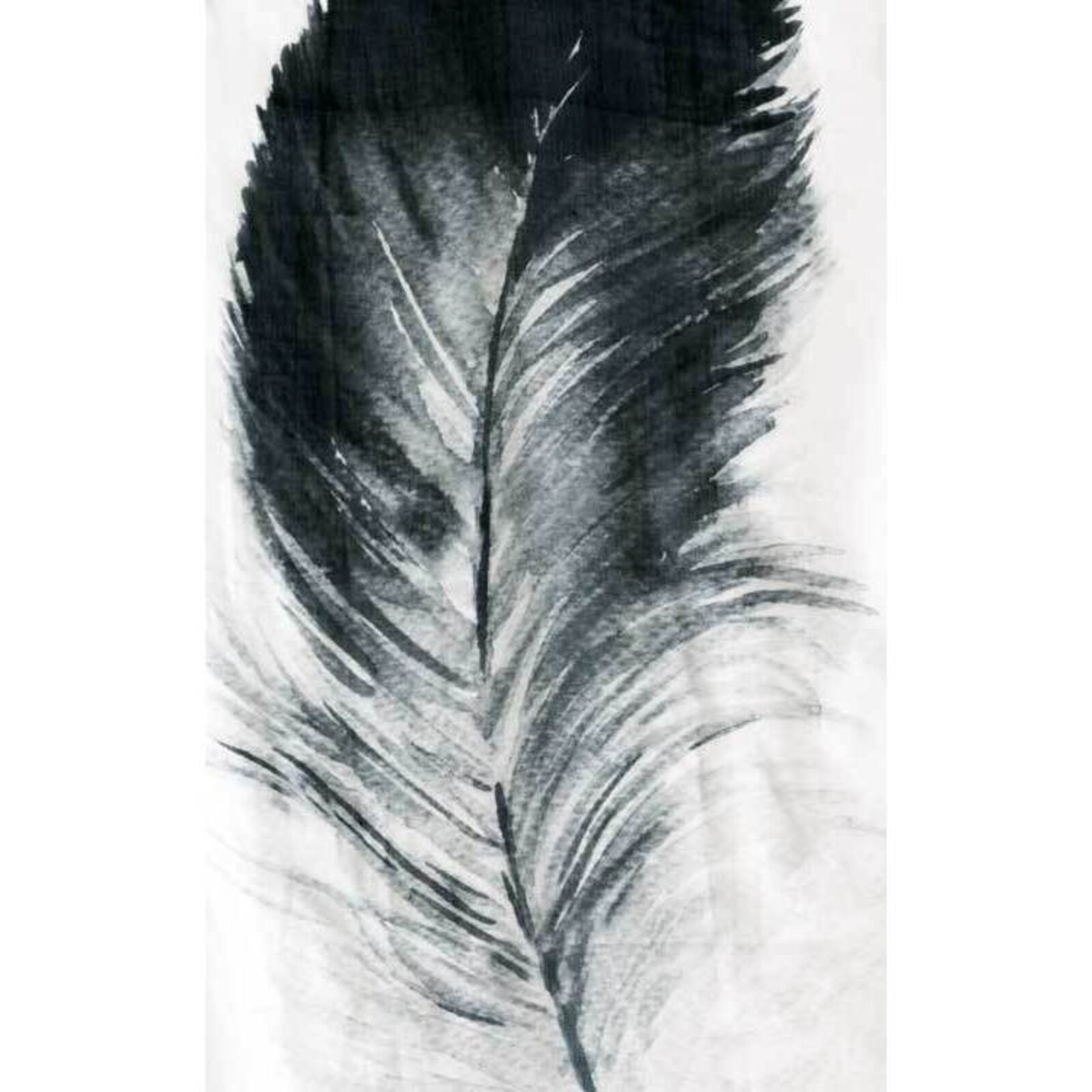 Curtain Feather