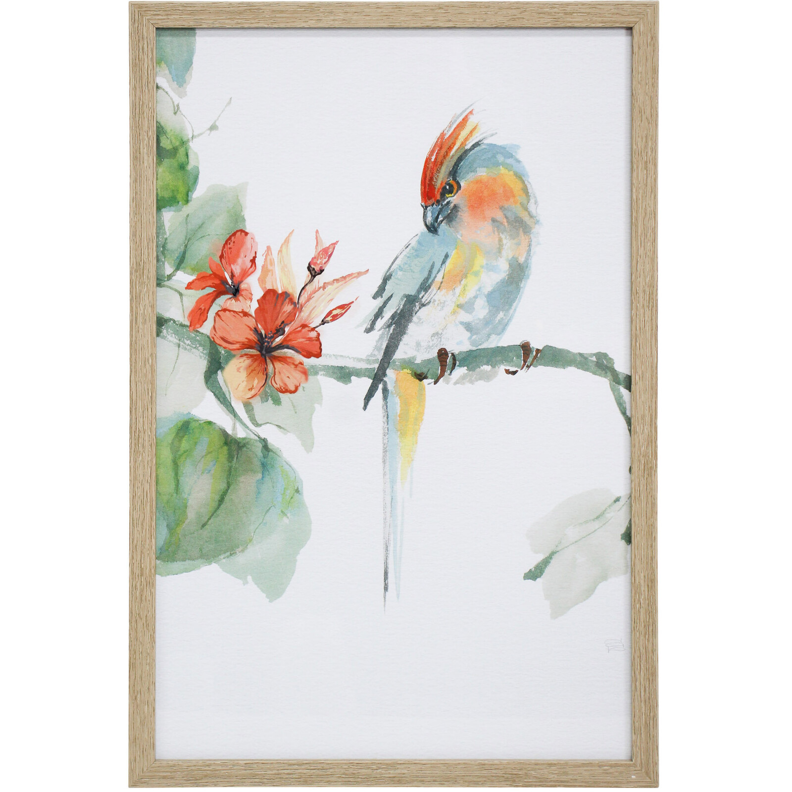 Framed Print Crested Parrot
