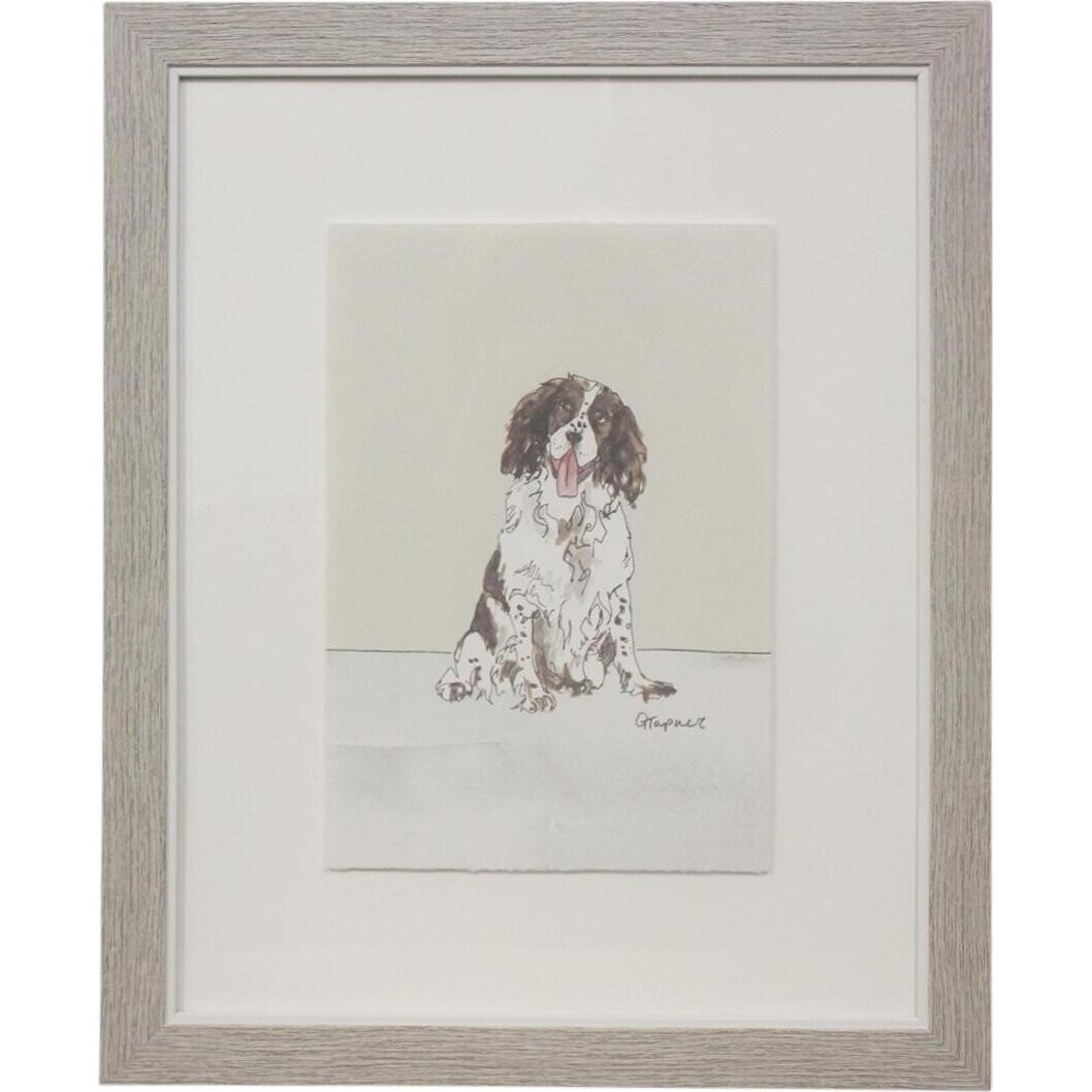 Framed Print Spaniel