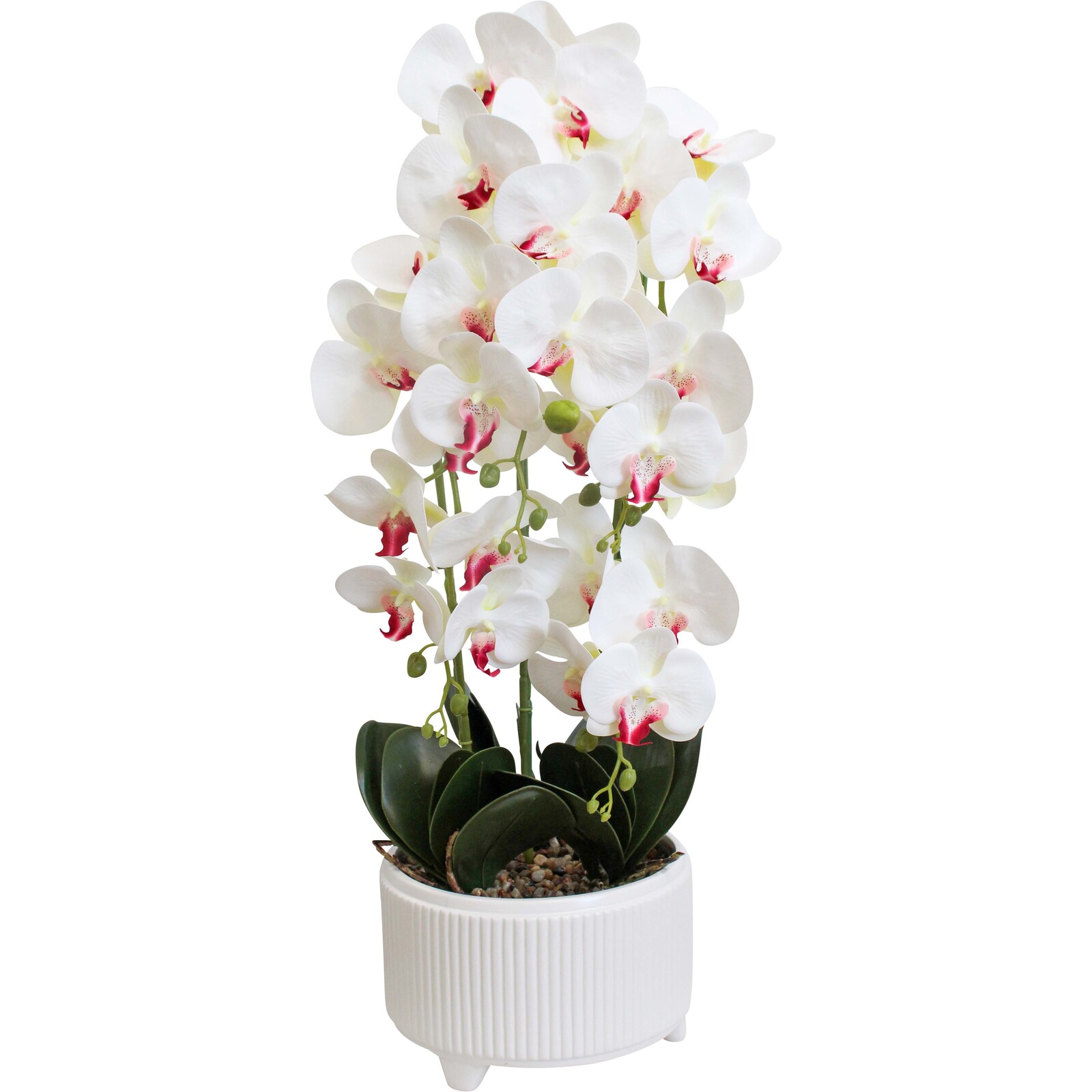 Faux Orchid XL White