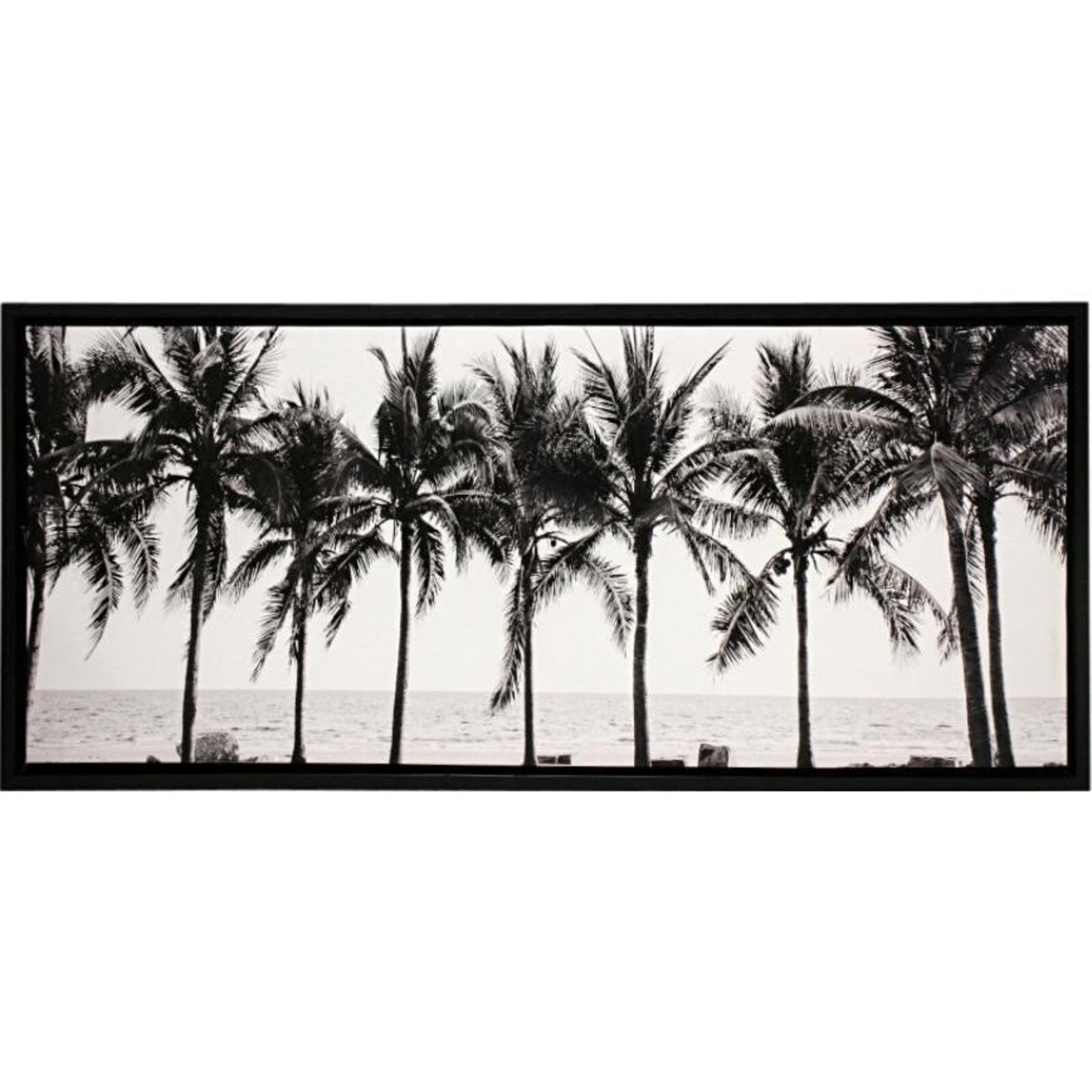 Framed Canvas B/W Palms