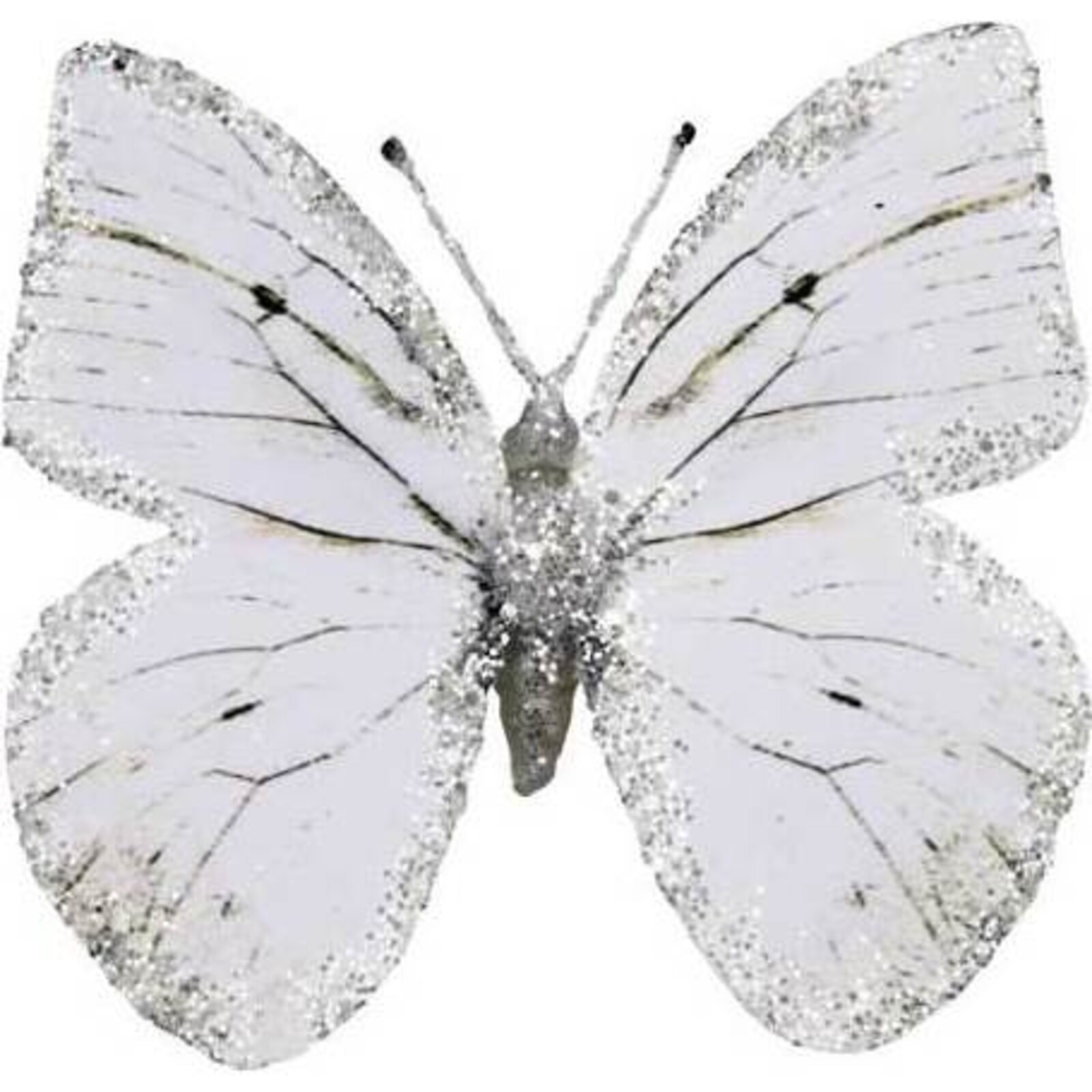 Glitter Butterfly - White Black Line set 6 