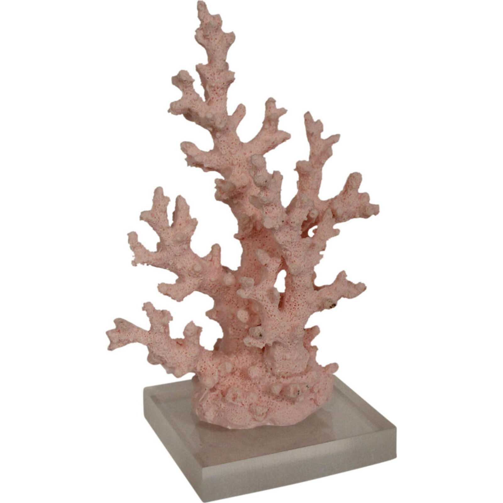 Coral Branching Pink Sml