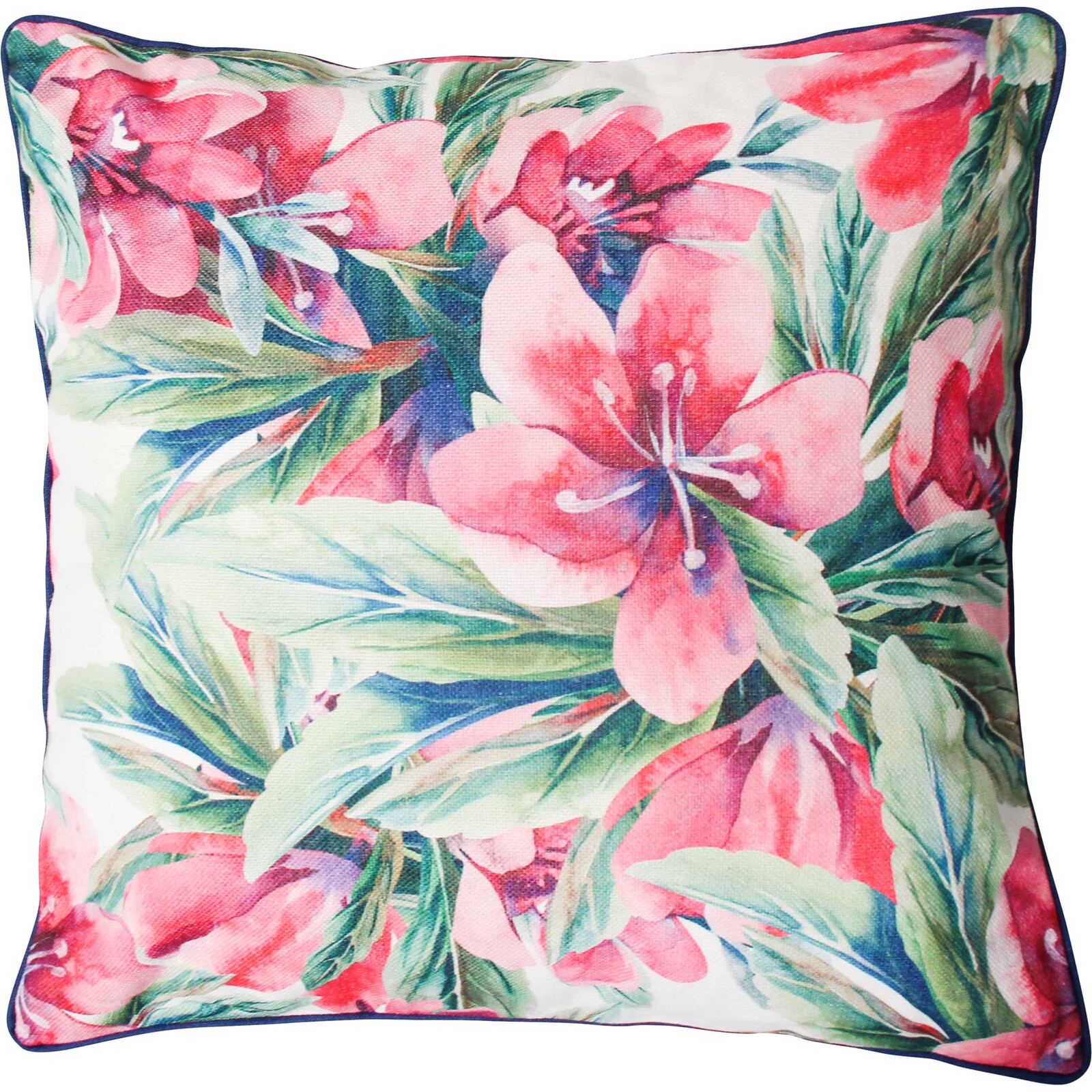 Cushion Pink Floral